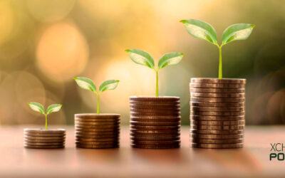 LAST MINUTE XCHPool  Chia-Pool EXTENDING  0% deal, Be fast! Join now!